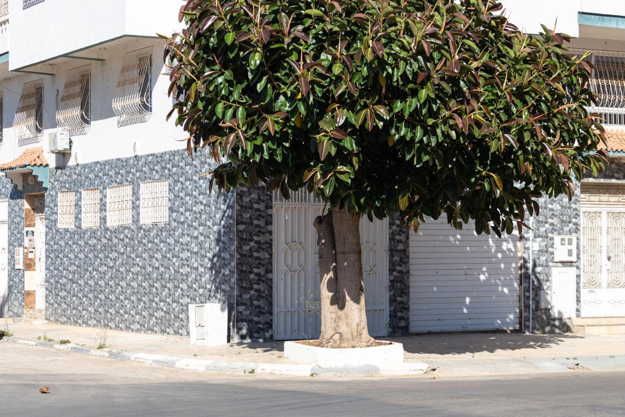 Appartements Calmes Et Spacieux Tétouan Extérieur photo